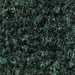 Heather Green